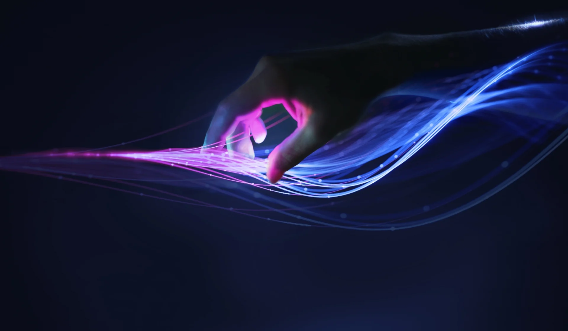 Food Banner